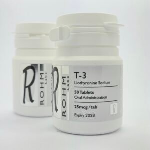 T3